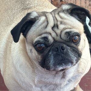 Meet your Posher, Jane